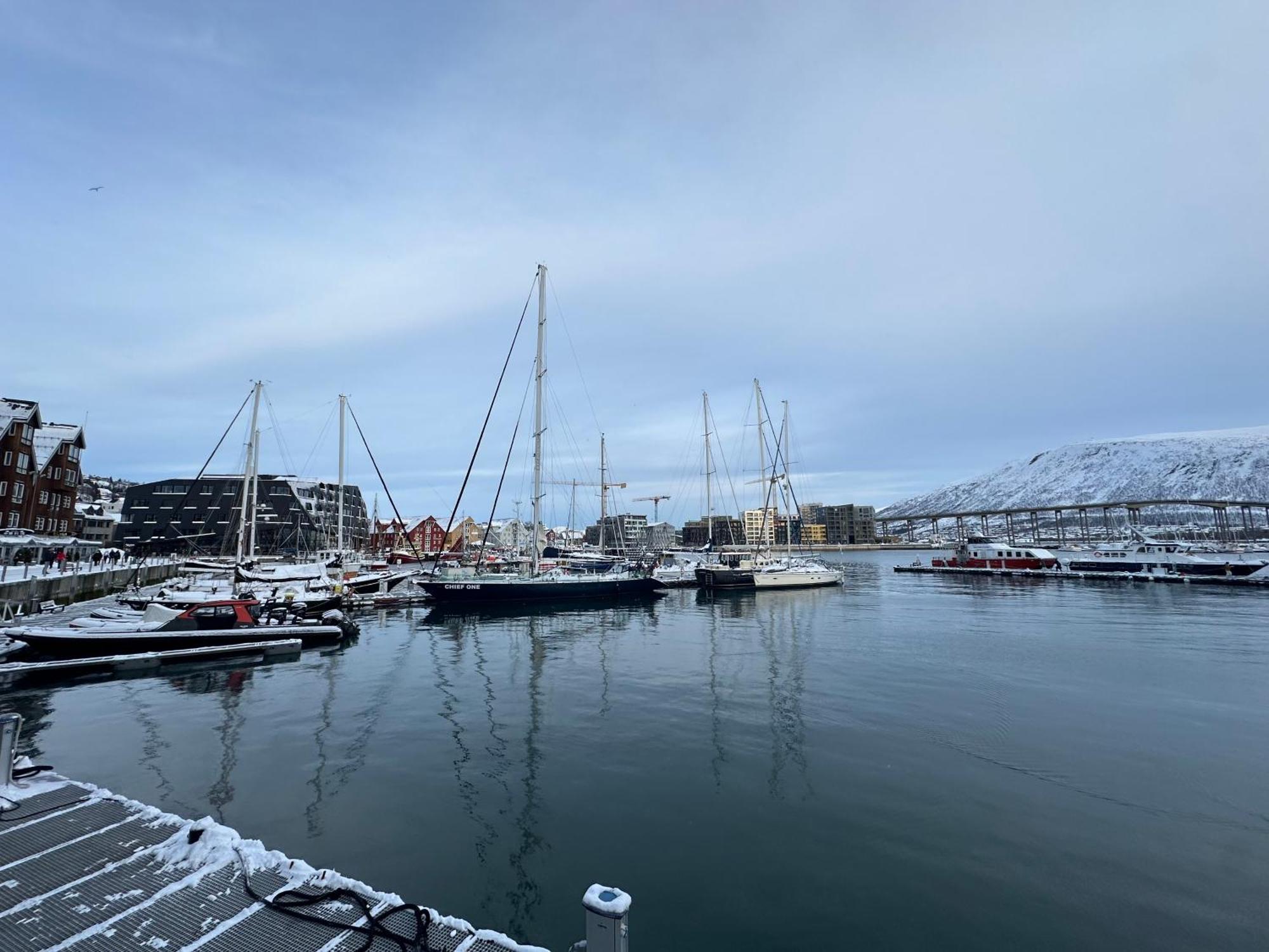 Thenorthernexplorer Penthouse Tromso Ngoại thất bức ảnh